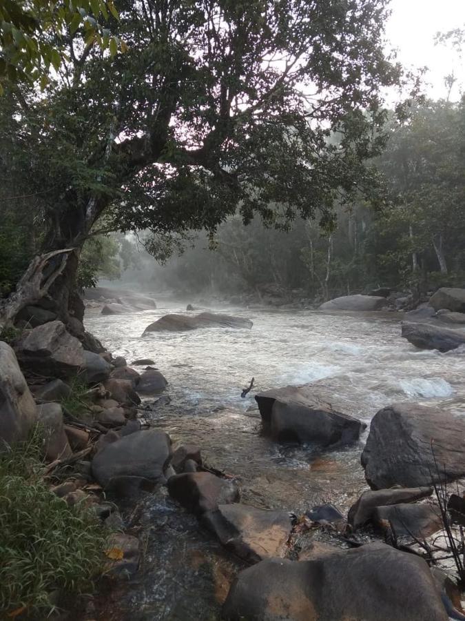 Coorg River Rock Camping Мадикери Экстерьер фото