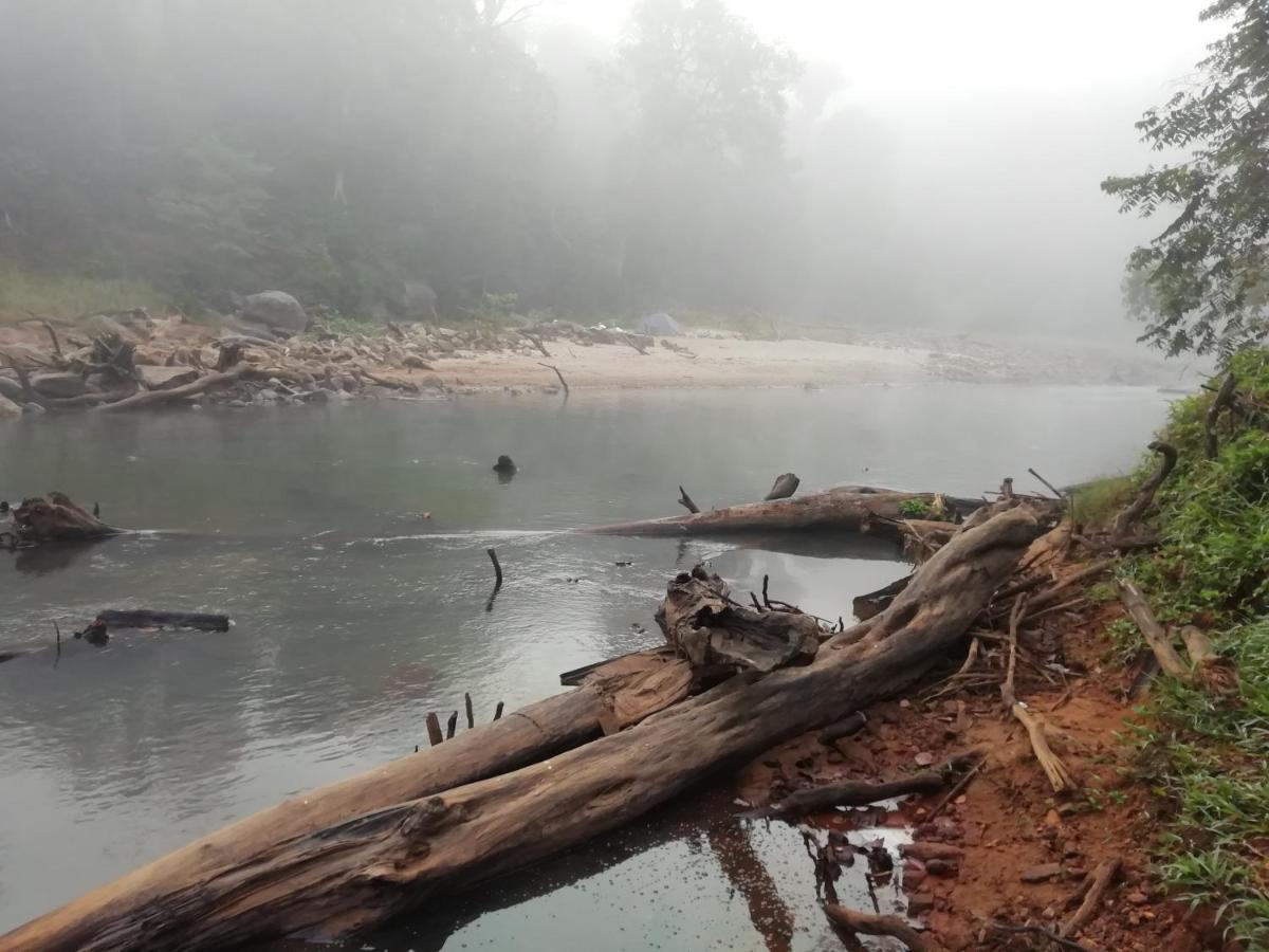 Coorg River Rock Camping Мадикери Экстерьер фото
