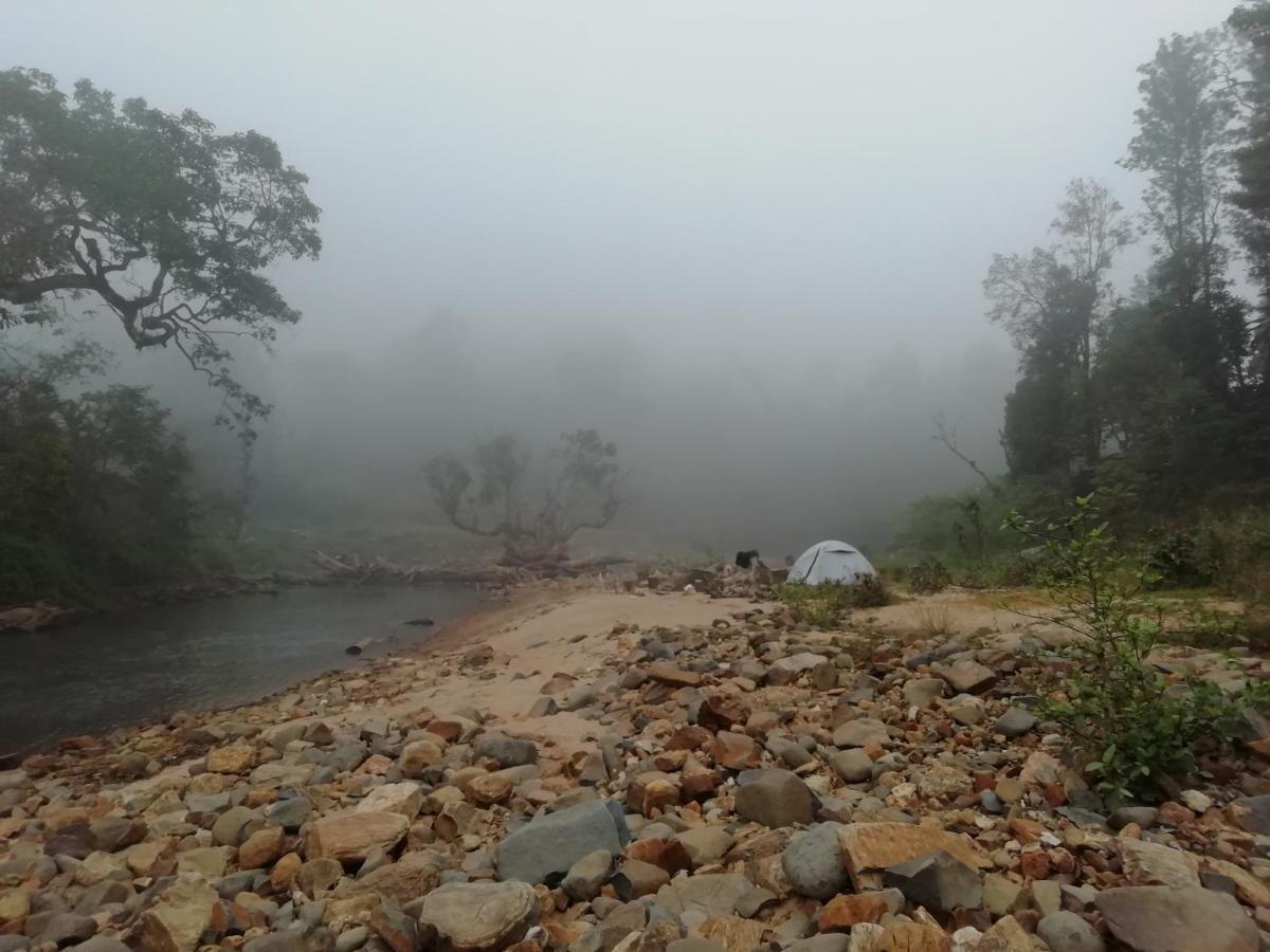 Coorg River Rock Camping Мадикери Экстерьер фото