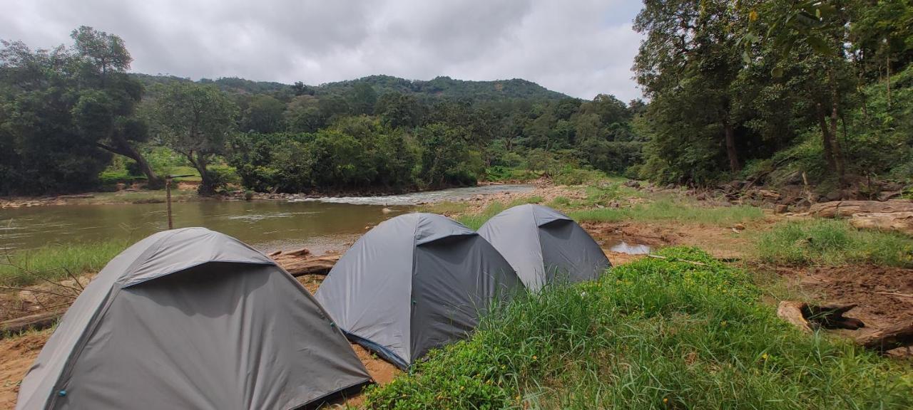Coorg River Rock Camping Мадикери Экстерьер фото